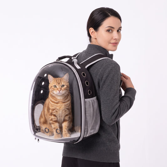 Cat Capsule